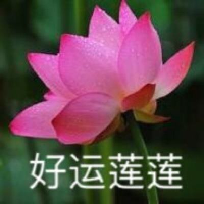 神魔主宰满v版下载